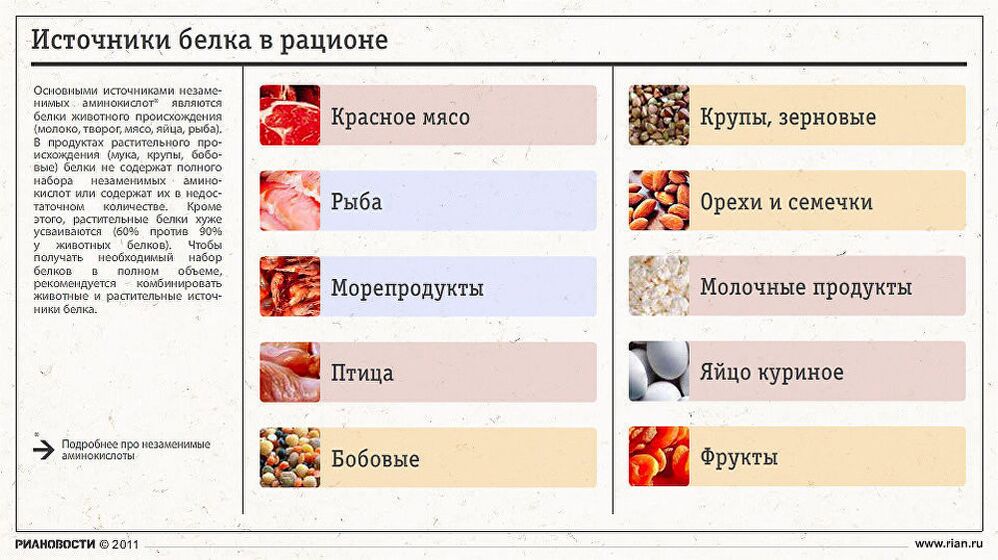 Источники белка в рационе Источники белка в рационе
