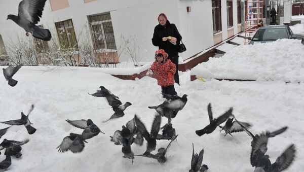 Зима. Архив Зима. Архив