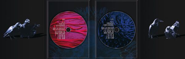 DVD Последняя сказка Риты DVD Последняя сказка Риты