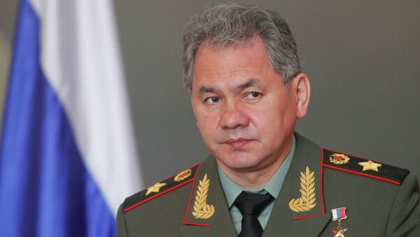 Министр обороны РФ Сергей Шойгу. Архивное фото Министр обороны РФ Сергей Шойгу. Архивное фото
