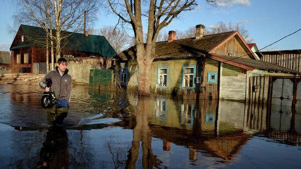 Паводок в Новгородской области