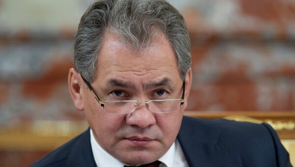 Министр обороны РФ Сергей Шойгу. Архивное фото Министр обороны РФ Сергей Шойгу. Архивное фото