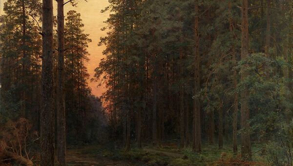 Иван Шишкин Вечерняя заря 1896 Иван Шишкин Вечерняя заря 1896