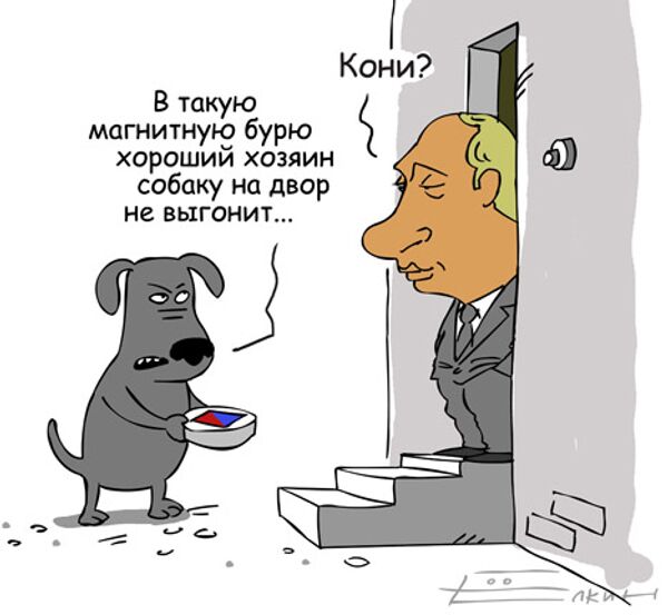 Сергей Елкин, РИА Новости Сергей Елкин, РИА Новости