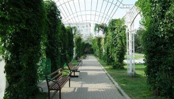 Сад им. Баумана Сад им. Баумана