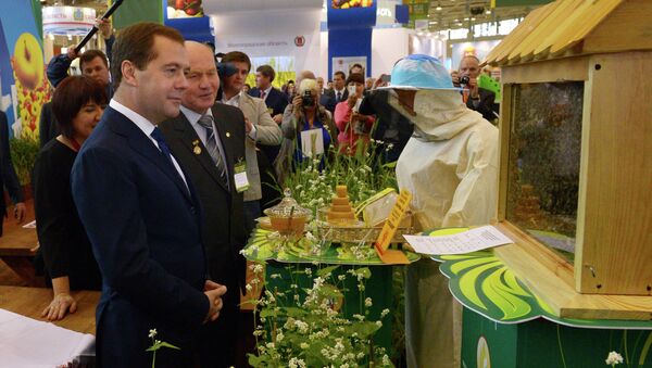 Д.Медведев на 15-й российской агропромышленной выставке Золотая осень-2013 Д.Медведев на 15-й российской агропромышленной выставке Золотая осень-2013