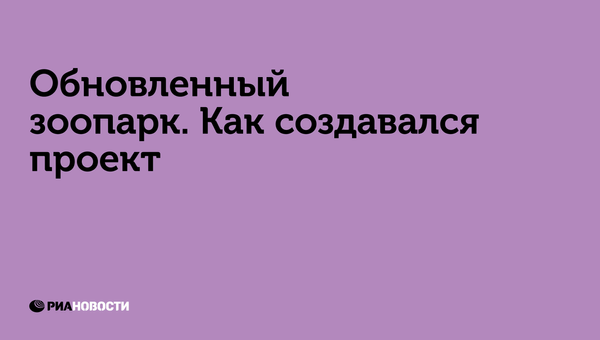 Обновленный зоопарк. Как создавался проект Обновленный зоопарк. Как создавался проект