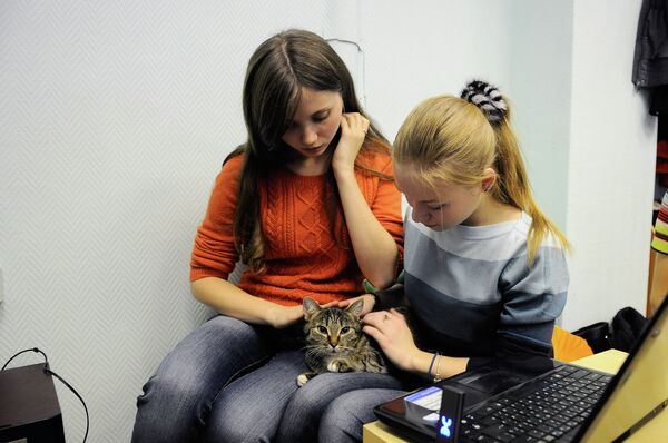 Котокафе в Красноярске Котокафе в Красноярске