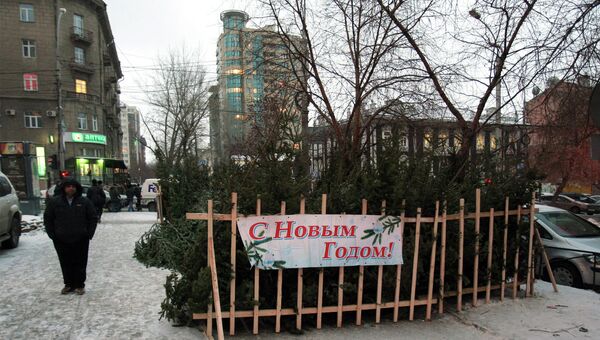 Продажа новогодних елей на улице в Новосибирске, архивное фото Продажа новогодних елей на улице в Новосибирске, архивное фото