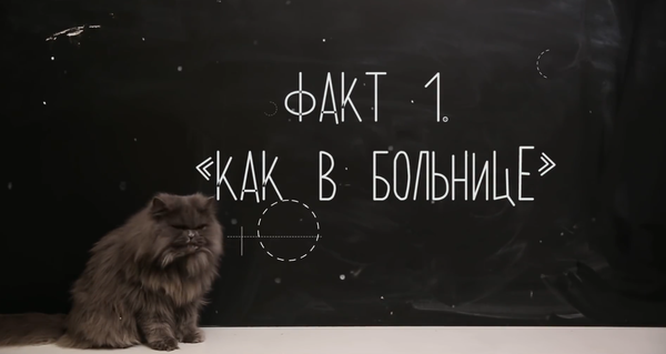 Белый цвет не как в больнице: разбиваем стереотипы Белый цвет не как в больнице: разбиваем стереотипы