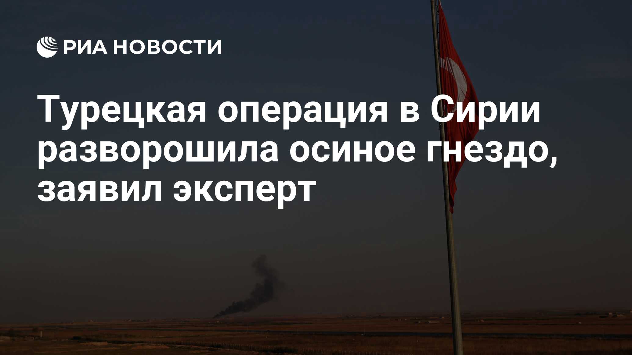 Турецкая операция в Сирии, разворошила осиное гнездо, заявил эксперт - РИА Новости