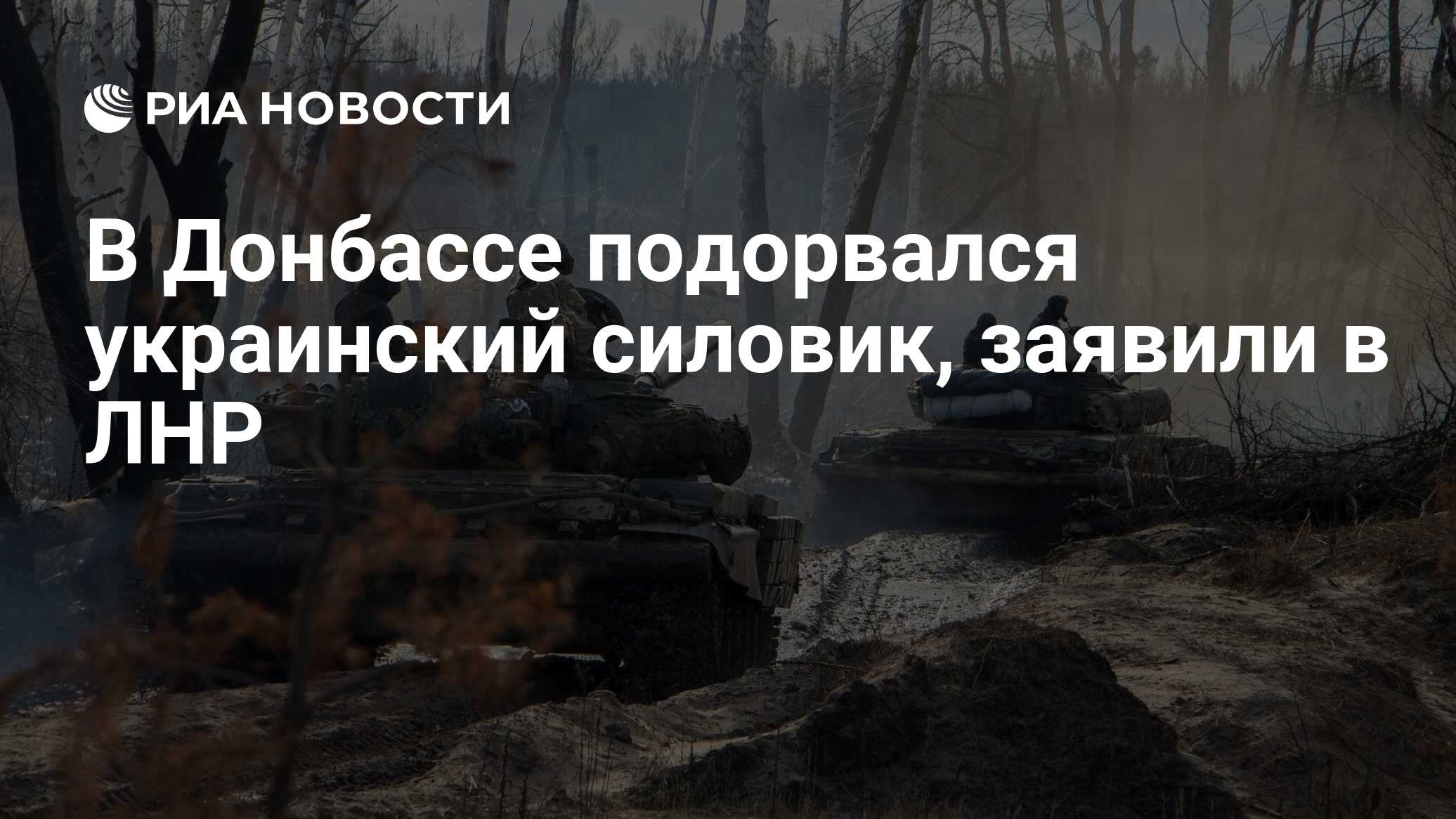 В Донбассе подорвался украинский силовик, заявили в ЛНР