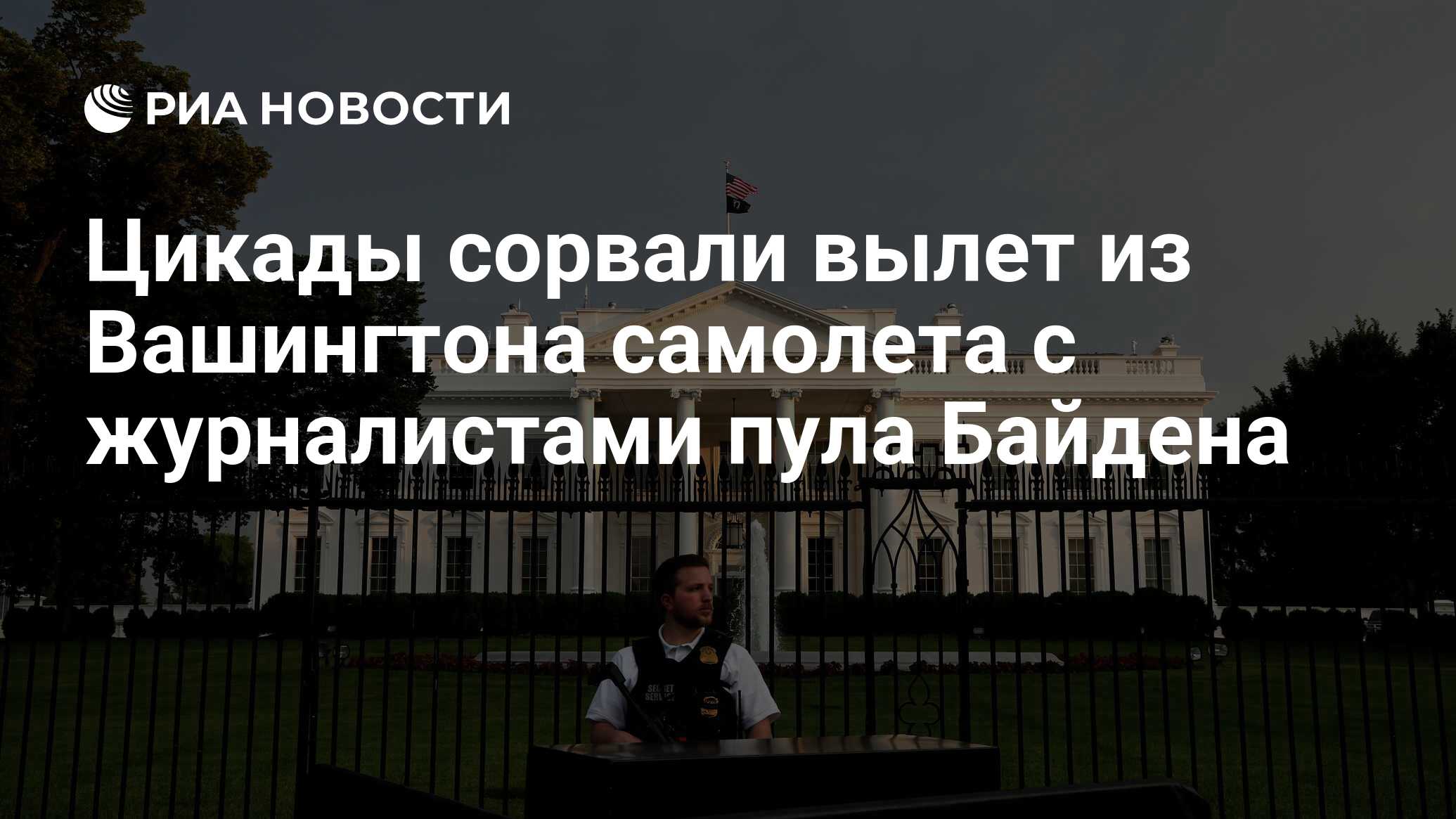 Цикады сорвали вылет из Вашингтона самолета с журналистами пула Байдена